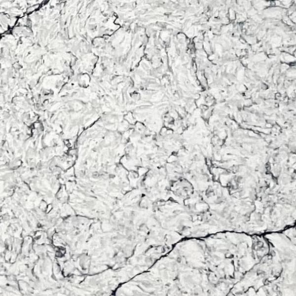 Nuevo Grigio Fantasy