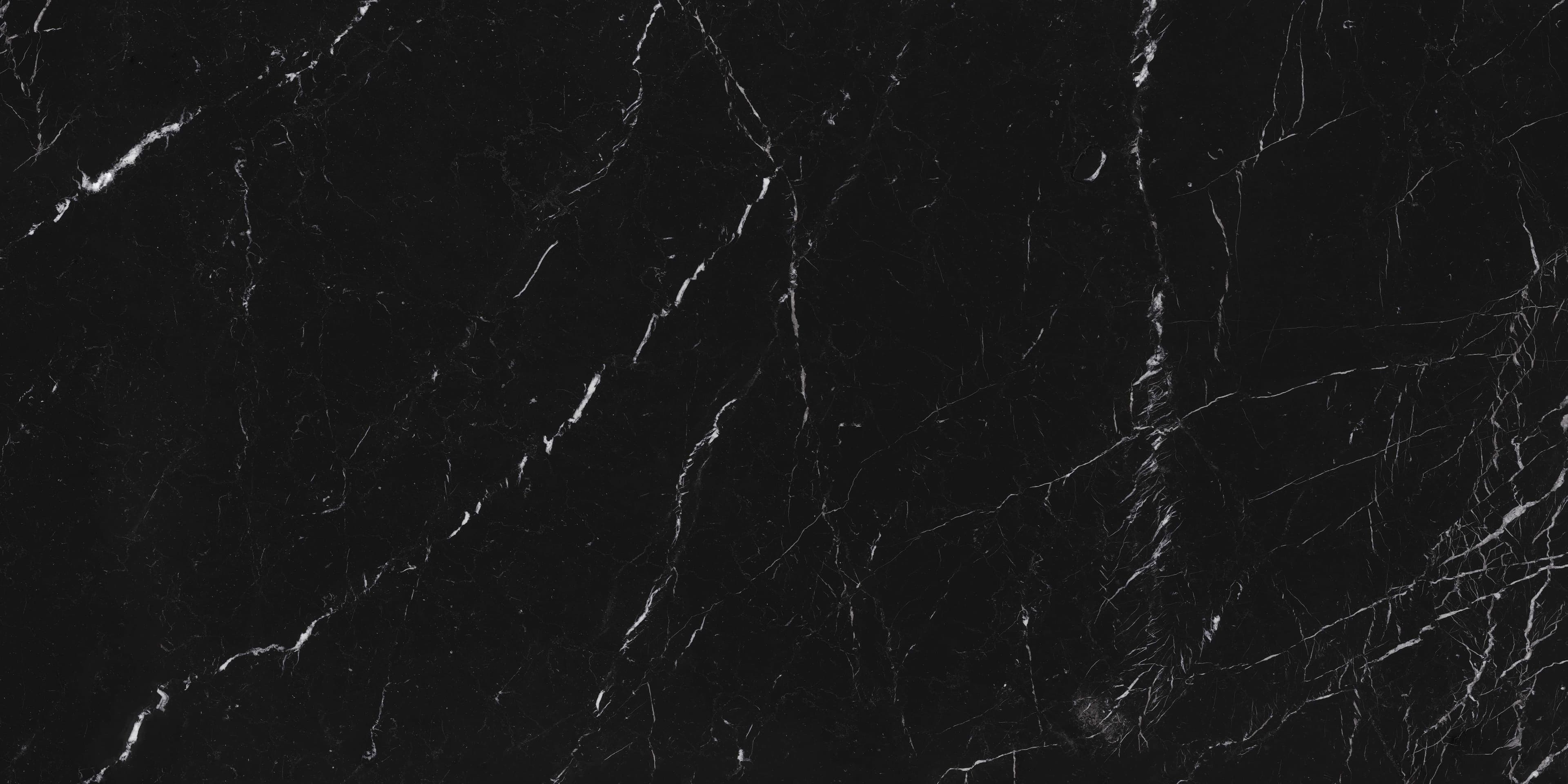 Elegant Black swatch