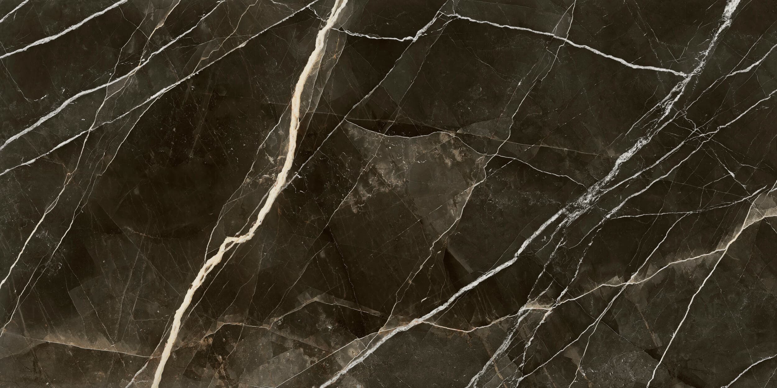Calacatta Black swatch